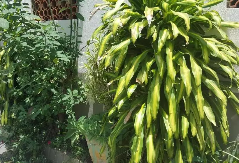 ホテル Los Angeles Aeroporto