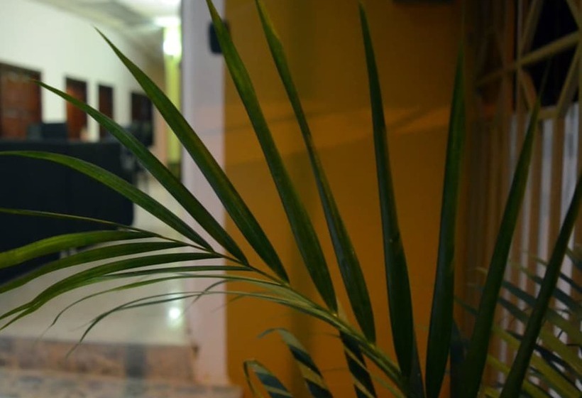 Отель Mayleen Colonial