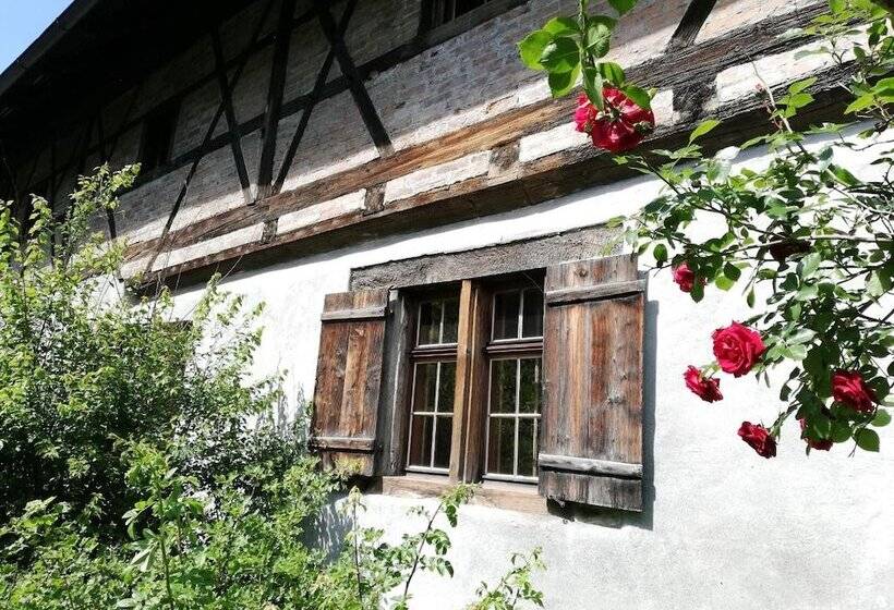 Youth Hostel Feldkirch