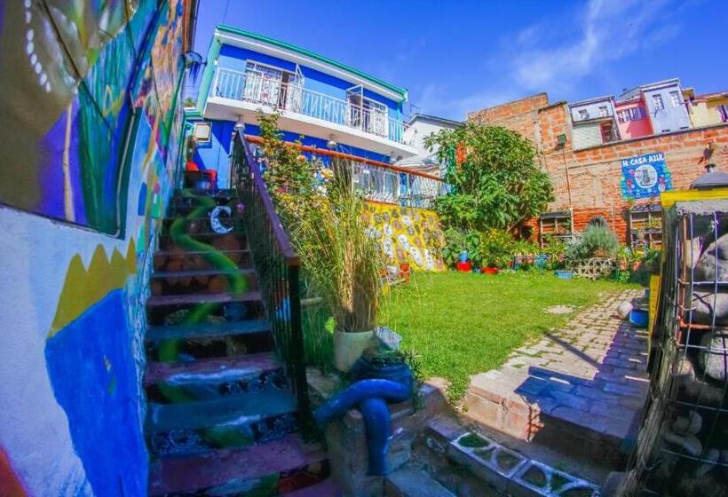 هاستل Hostal La Casa Azul