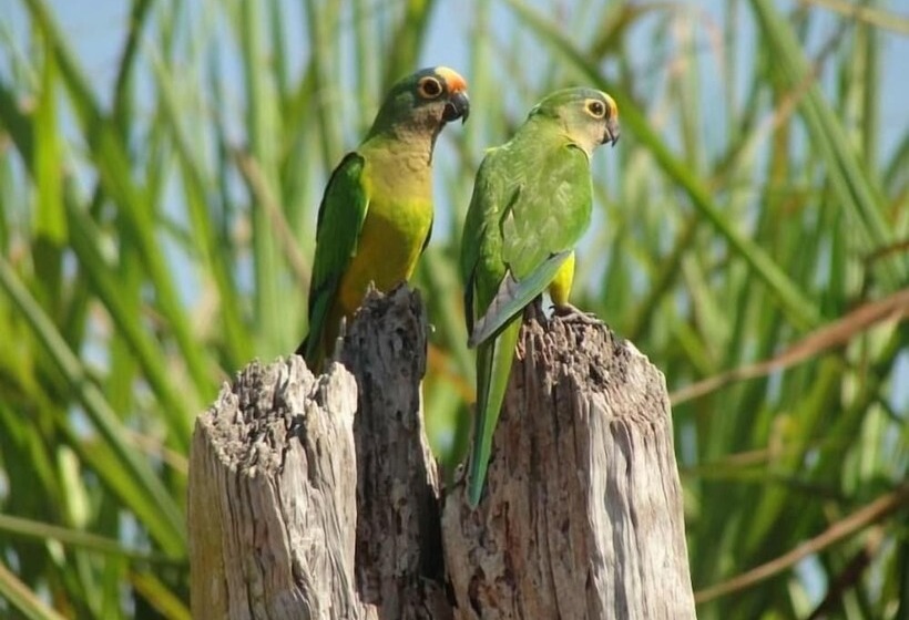 Hotel Leao De Juda Charme