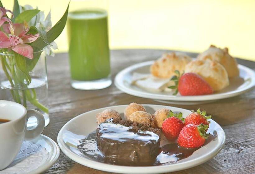 Hotel Leao De Juda Charme