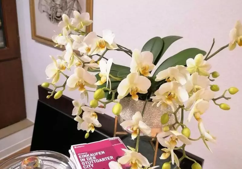 Hotelli Garni Am Olgaeck