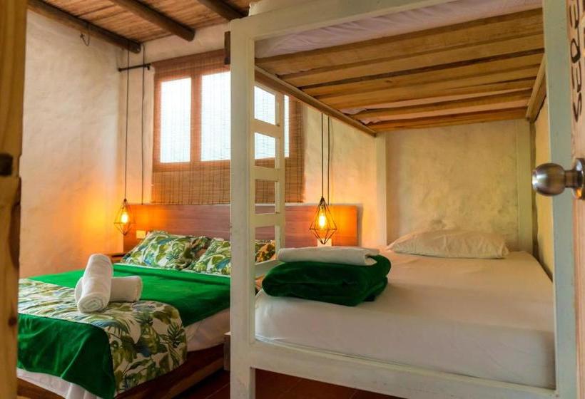 هاستل Casa Relax Minca Guest House