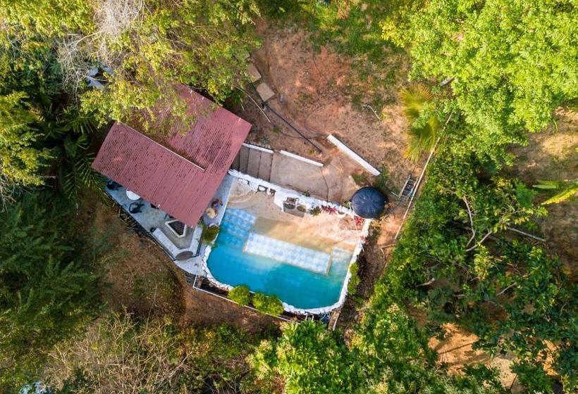 هاستل Casa Relax Minca Guest House