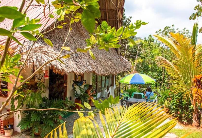 هاستل Casa Relax Minca Guest House