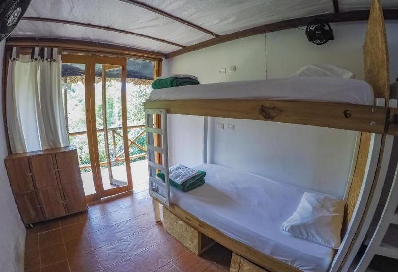 هاستل Casa Relax Minca Guest House