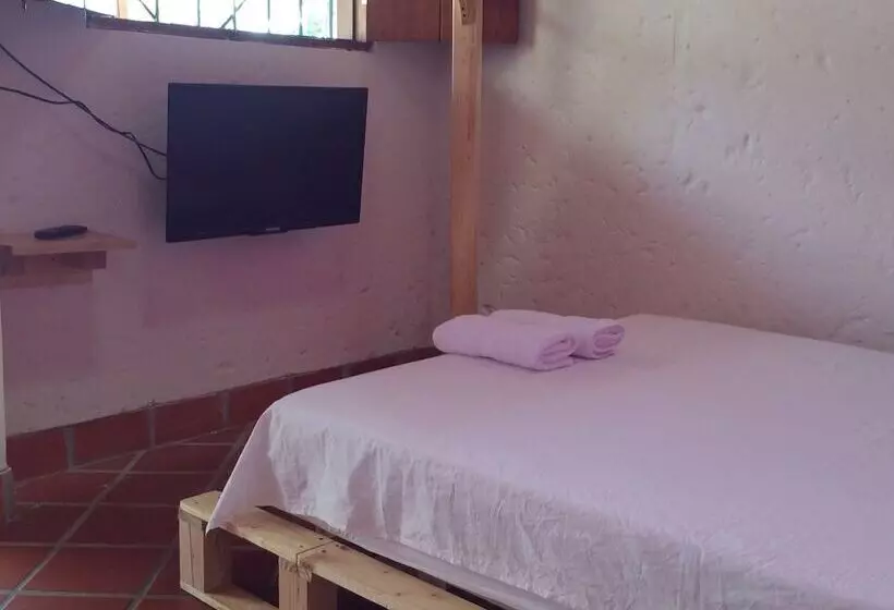 Green Nomads Hostel
