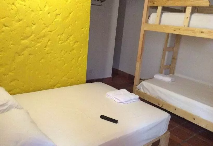Green Nomads Hostel