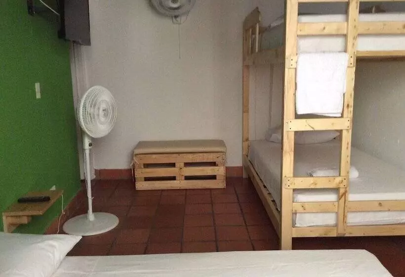 Green Nomads Hostel