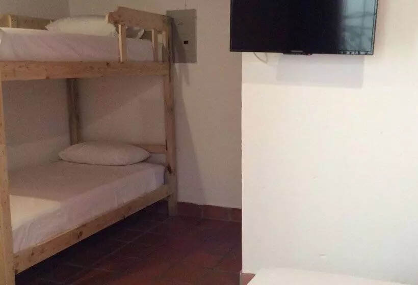 Green Nomads Hostel