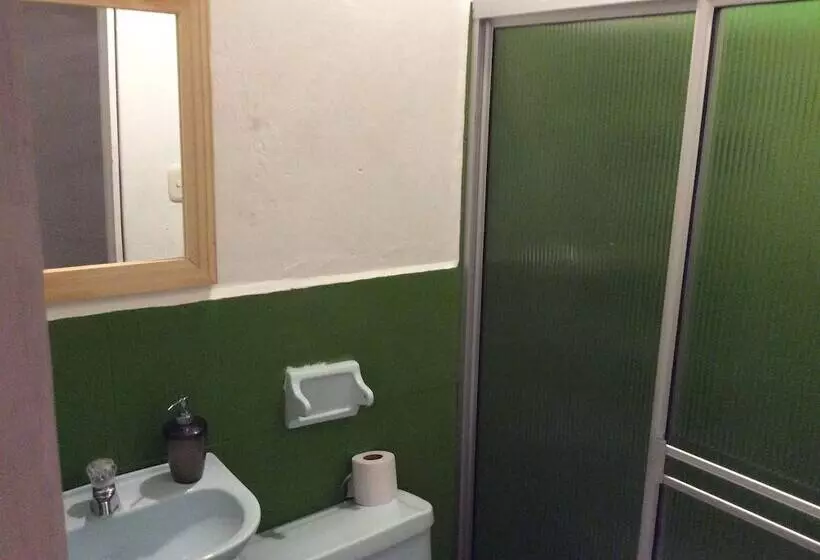 Green Nomads Hostel