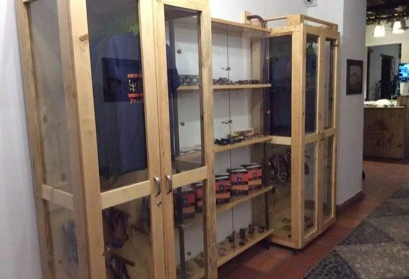 Green Nomads Hostel