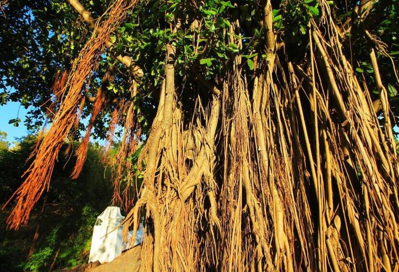 هتل Pousada Do Vale