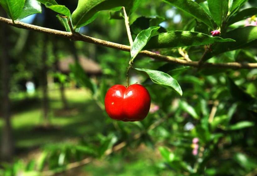 هتل Pousada Do Vale