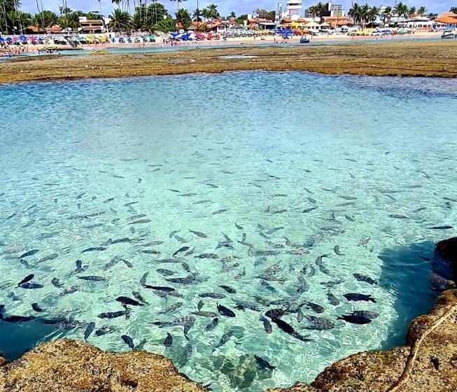 ホテル Pousada Sal E Mar Maracaipe