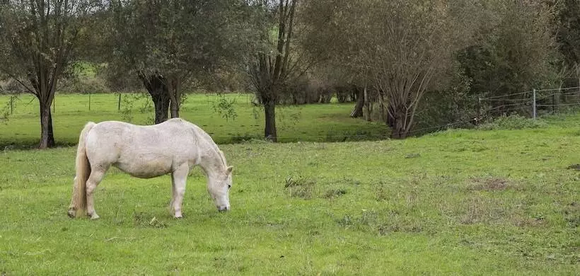 B&b Ferme Château De Laneffe
