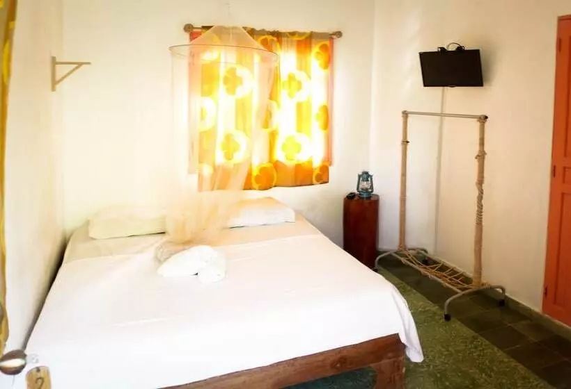 تختخواب و صبحانه Casa Delfin Guest House