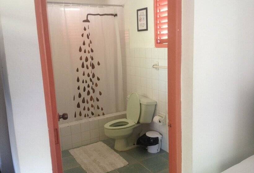 تختخواب و صبحانه Casa Delfin Guest House