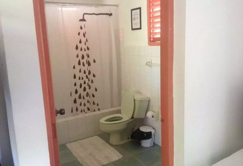 تختخواب و صبحانه Casa Delfin Guest House