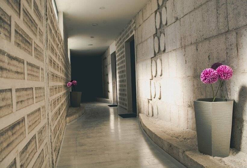 هتل Cristal Samaña