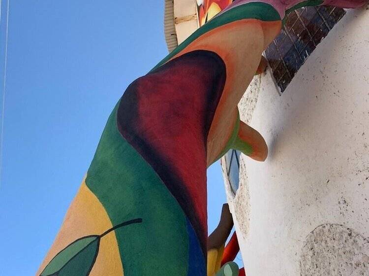 هتل Cristal Samaña