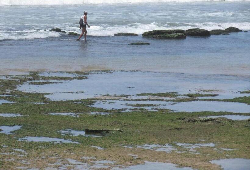 בית מלון כפרי Pousada Ipitanga Iv