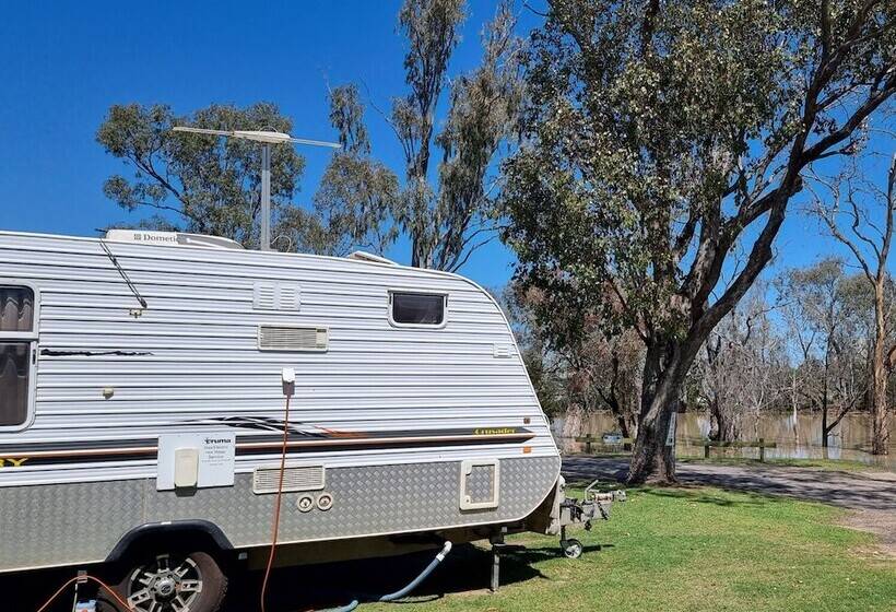 فندق Goondiwindi Tourist Park