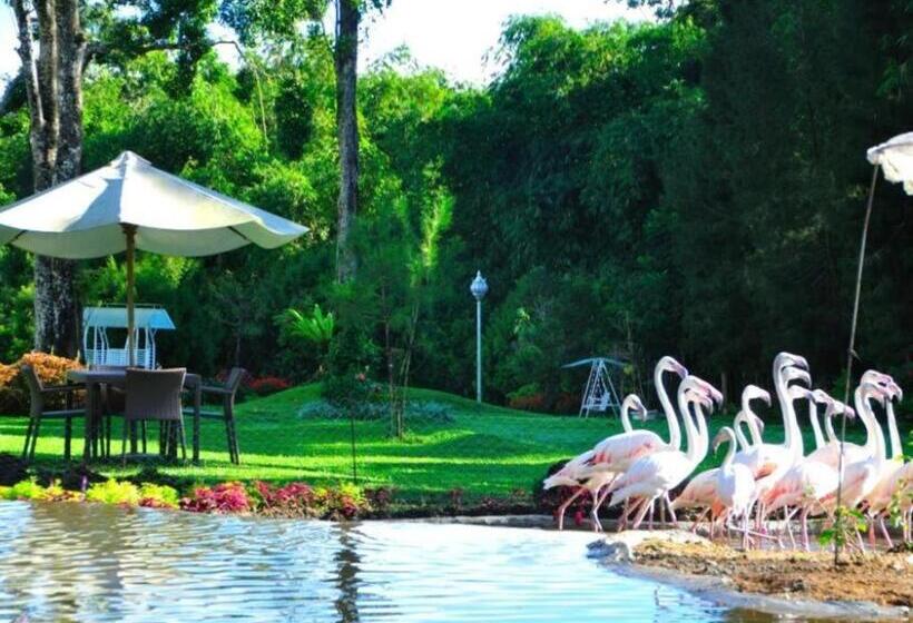 The Hill Hotel & Resort Sibolangit