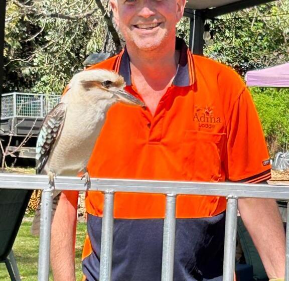 モーテル Adina Lodge Holiday Apartments