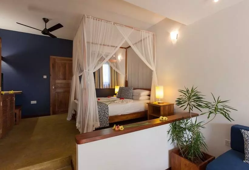 پانسیون L'hirondelle