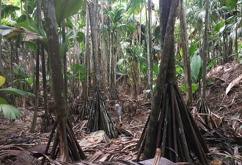 پانسیون L'hirondelle