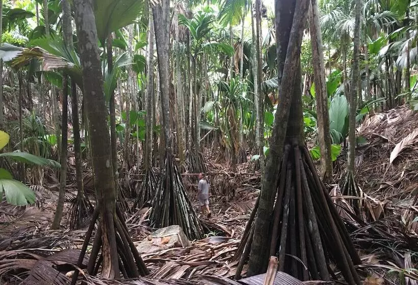 پانسیون L'hirondelle