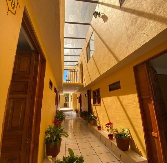 ホテル Camelinas Area Blanca