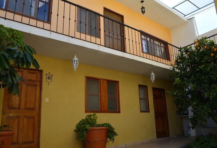 ホテル Camelinas Area Blanca