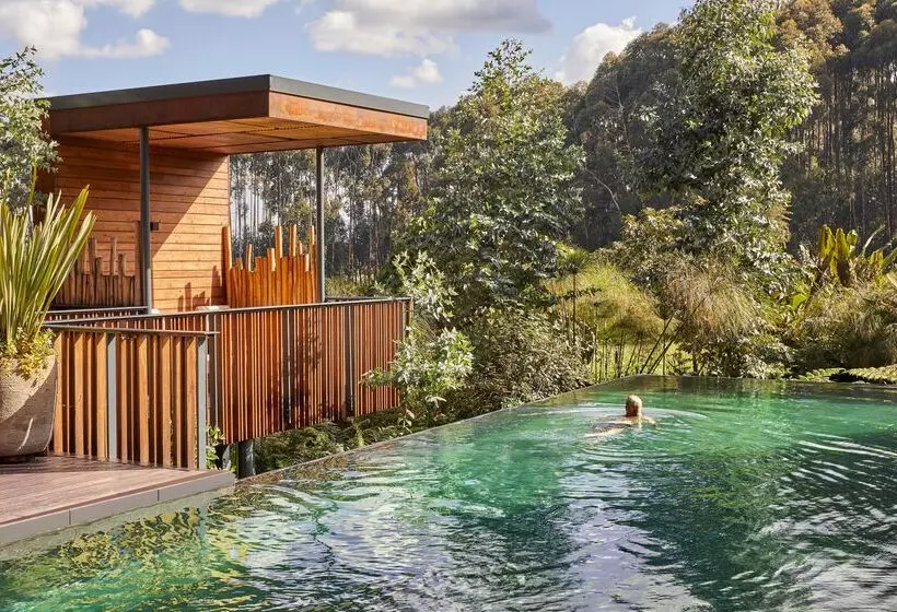 هتل One&only Gorilla S Nest