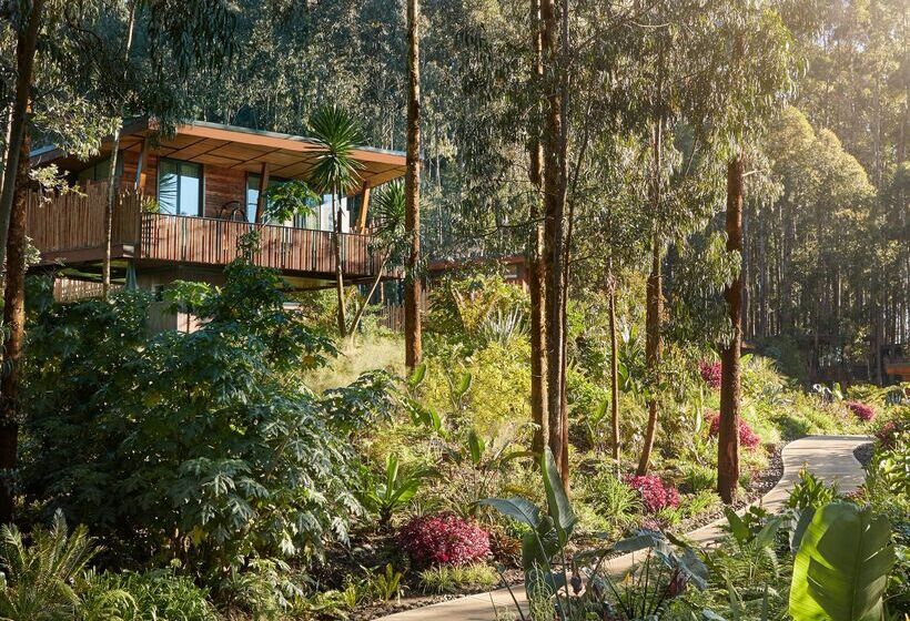 هتل One&only Gorilla S Nest