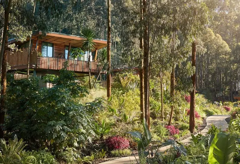 هتل One&only Gorilla S Nest