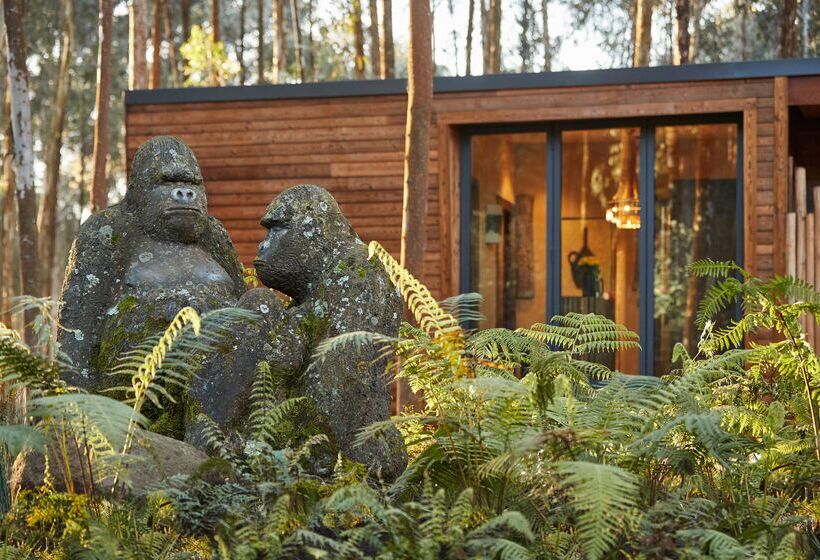 هتل One&only Gorilla S Nest