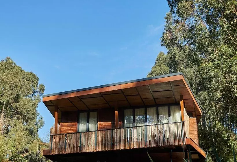 هتل One&only Gorilla S Nest