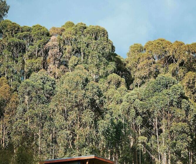 هتل One&only Gorilla S Nest