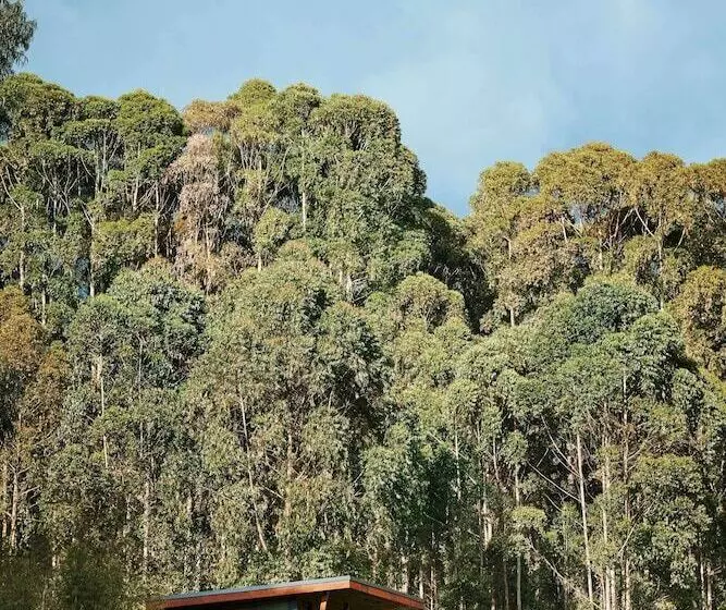 هتل One&only Gorilla S Nest