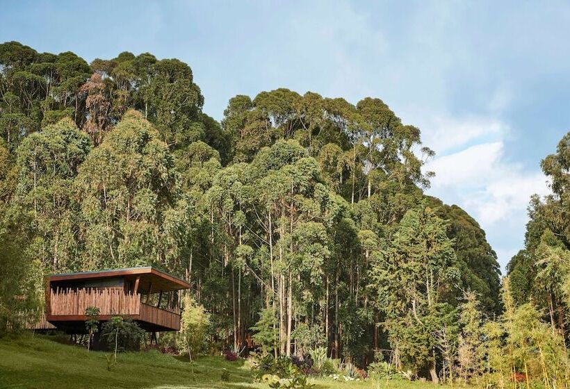 هتل One&only Gorilla S Nest