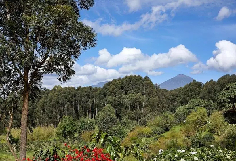 هتل One&only Gorilla S Nest