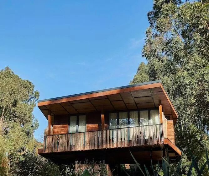 هتل One&only Gorilla S Nest