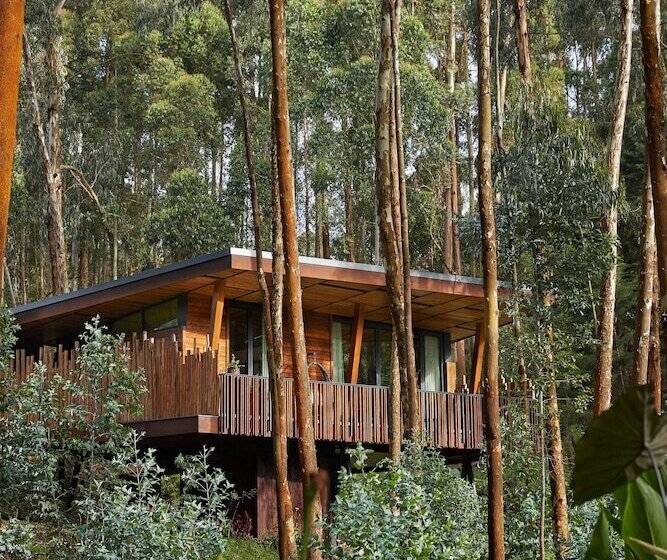 هتل One&only Gorilla S Nest