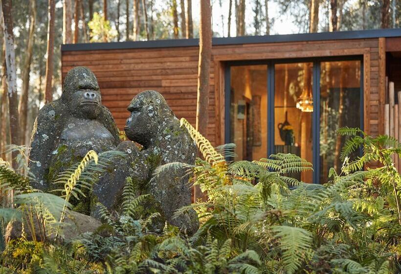 هتل One&only Gorilla S Nest