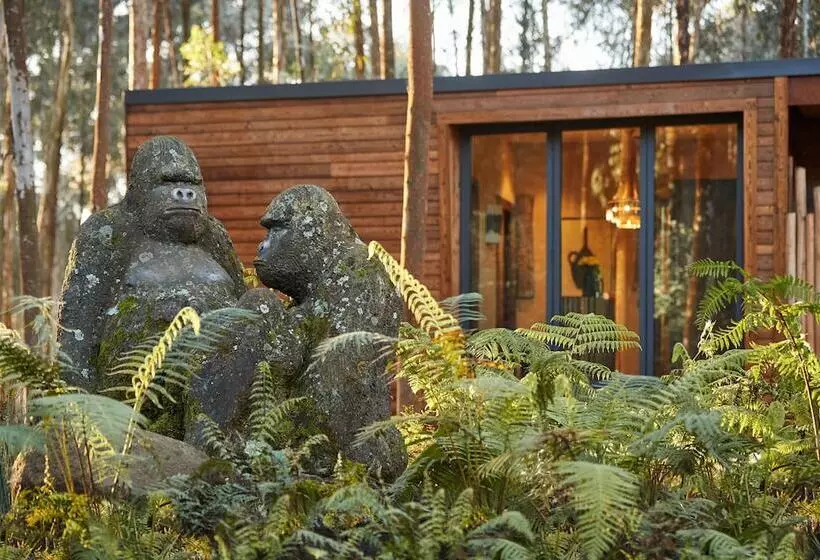 هتل One&only Gorilla S Nest