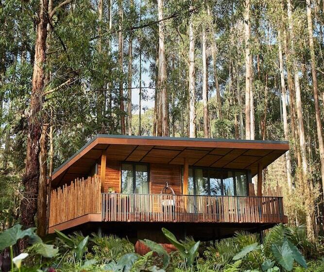 هتل One&only Gorilla S Nest