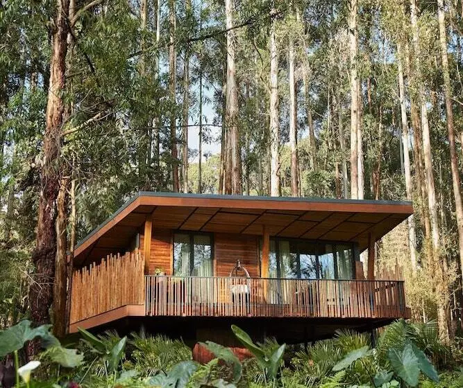 هتل One&only Gorilla S Nest